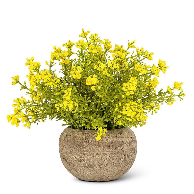 small coloured plant pots Small Flowering Yellow Plant Pot
