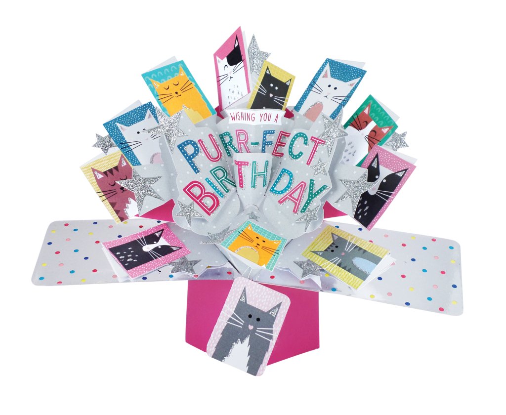 Pop-up Brthday Card // Cat Lover Brthday Card, Ktten Brthday Card