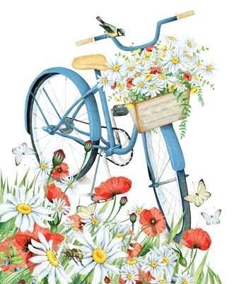 Daisy Bicycle- Card - Lemon And Lavender Toronto