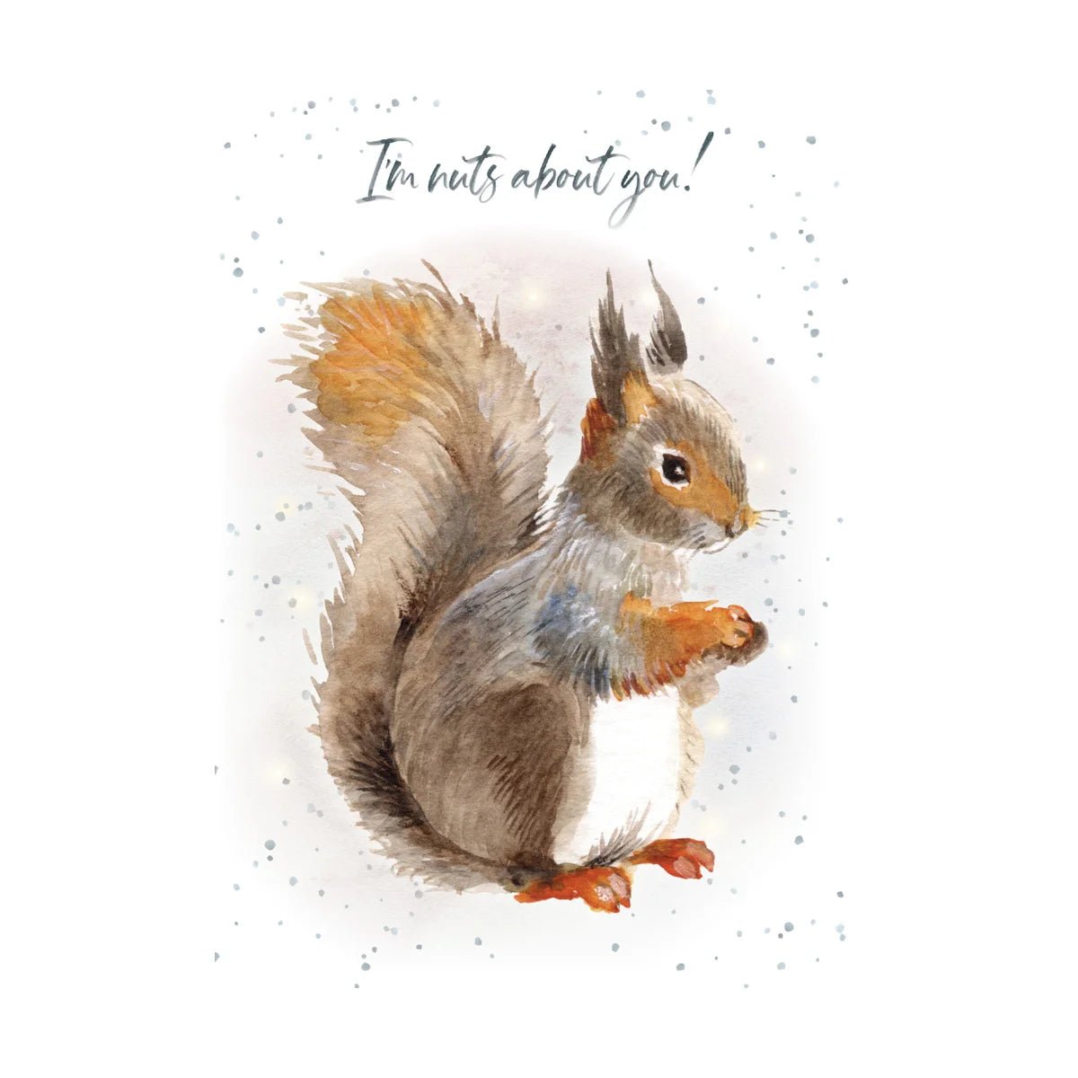 I'm Nuts about You Card – Lemon And Lavender Toronto