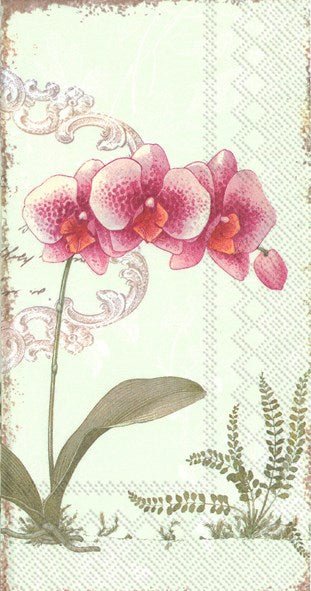 L'orchidee HOSTESS Napkins - Lemon And Lavender Toronto
