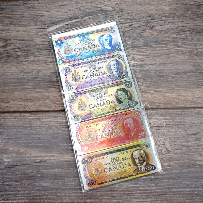 Set of 5 Currency Magnet