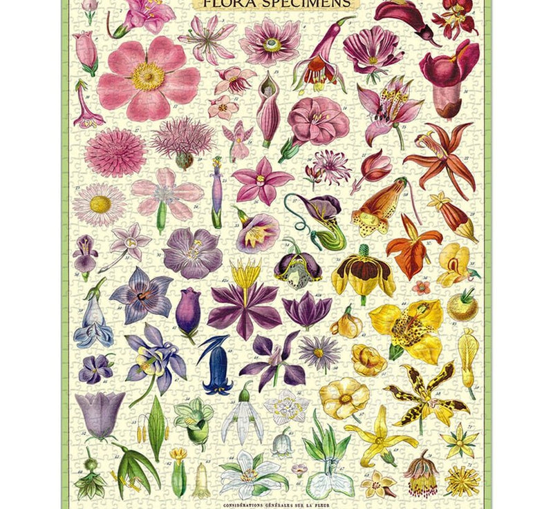 1000 pc Vintage Puzzle Flora Specimens - Cavallini - Lemon And Lavender Toronto