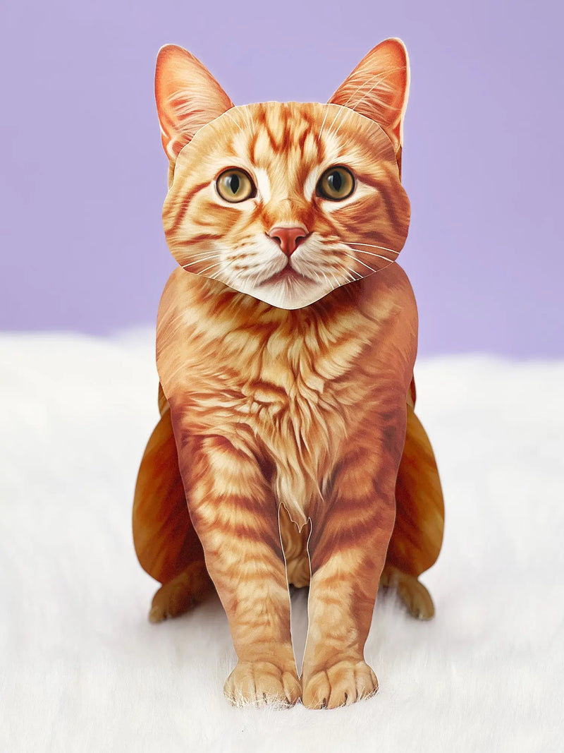 Orange Tabby Cat Pop-Up Card