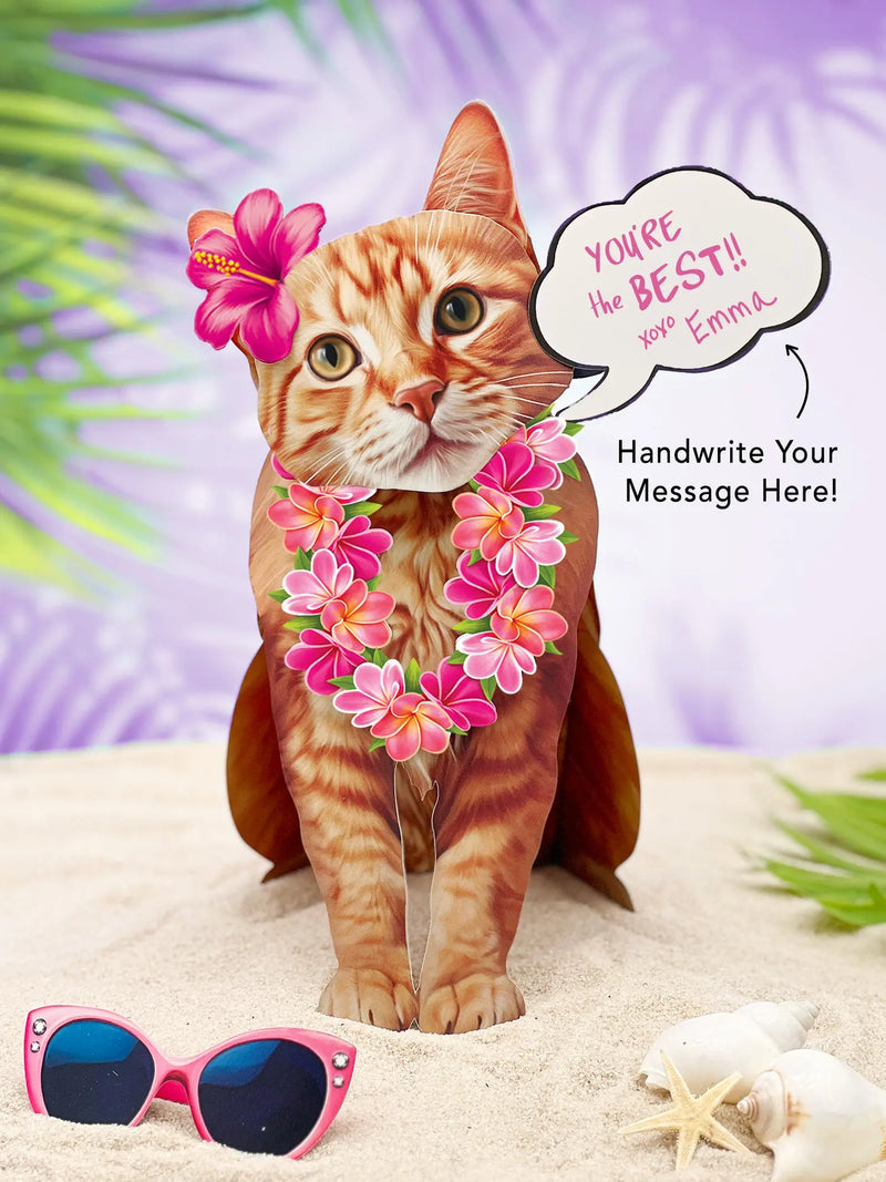 Orange Tabby Cat Pop-Up Card