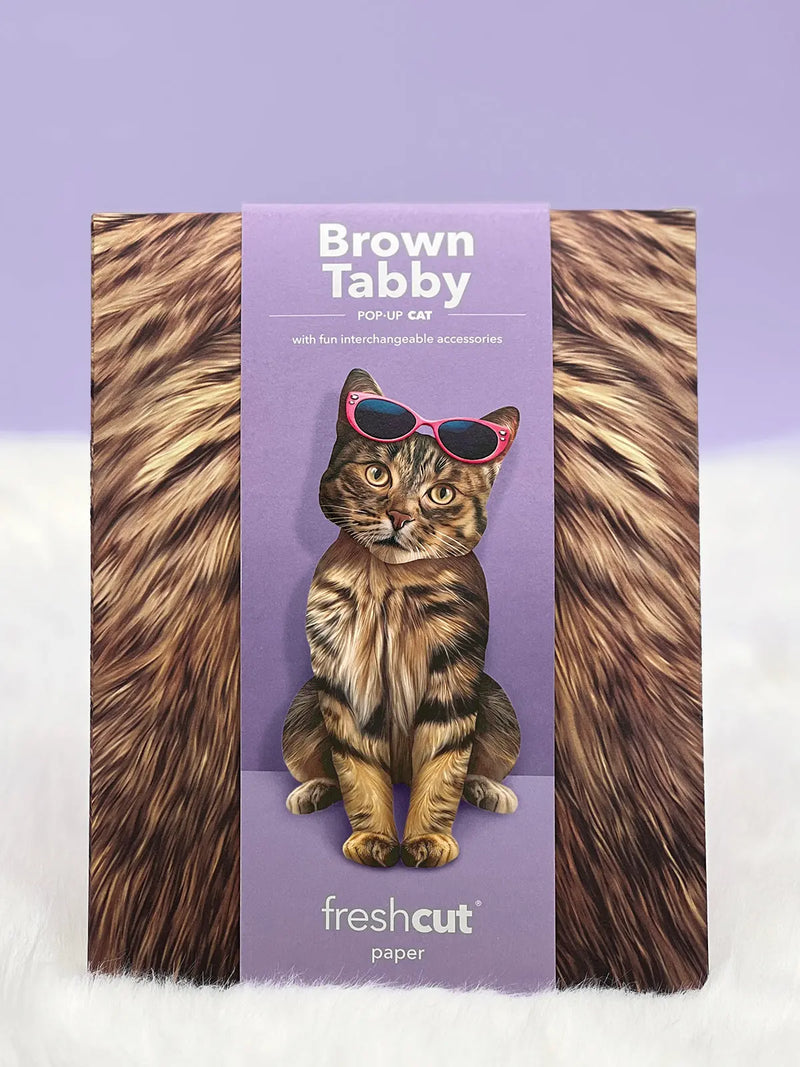 Brown Tabby Cat Pop-Up Card