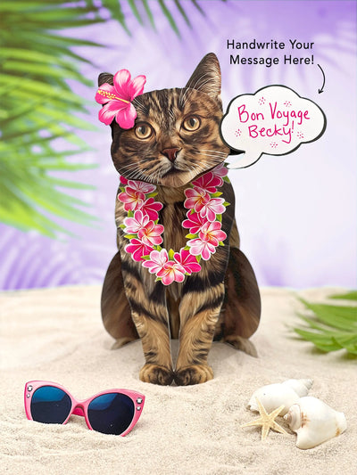 Brown Tabby Cat Pop-Up Card