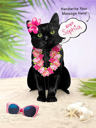 Black Cat Pop-Up Card