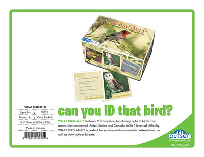 What Bird Am I?