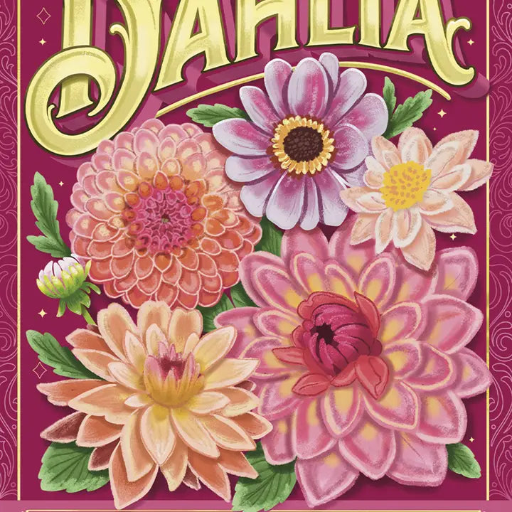 Dahlia (Kindness) - Floriography Seed Packet