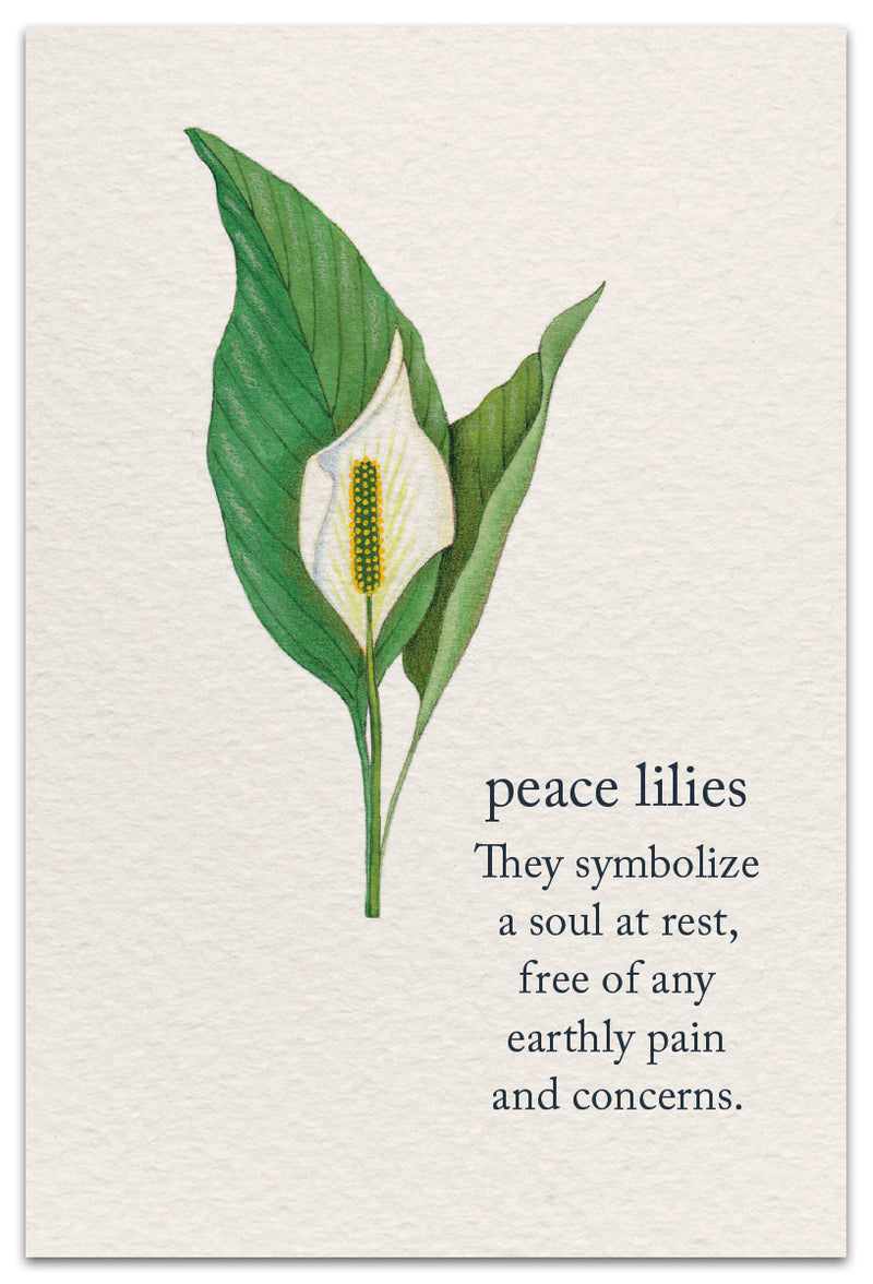 Peace Lilies Card