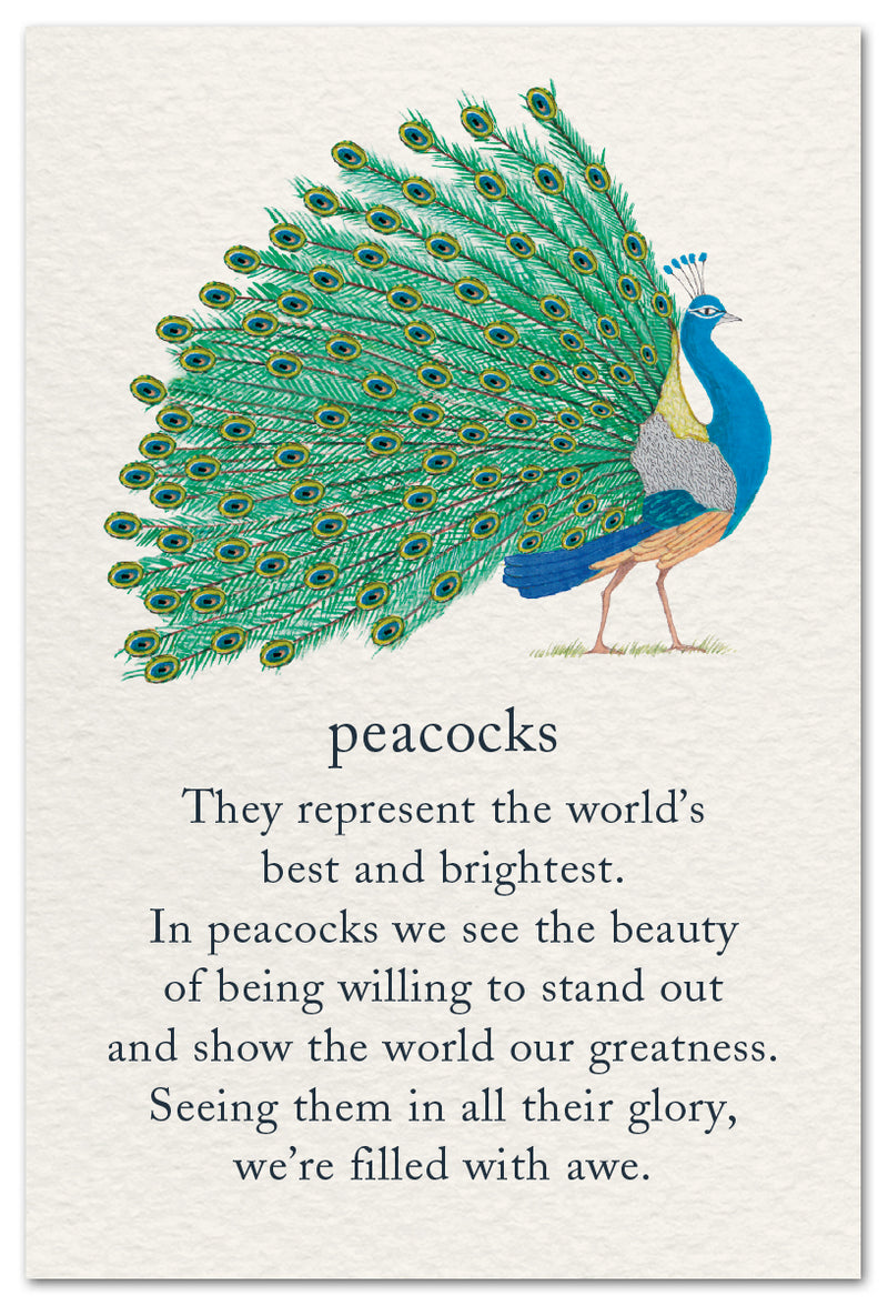 Peacock Card