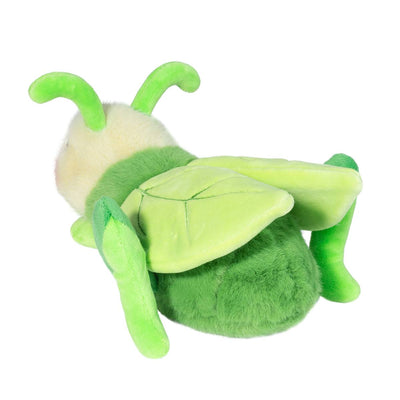 Kady Grasshopper