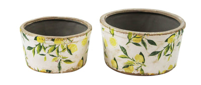 2 Pc. Lemon Planter Set - Lemon And Lavender Toronto