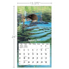 Loons On The Lake 2027 Wall Calendar