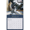 Love of Cats 2027 Wall Calendar