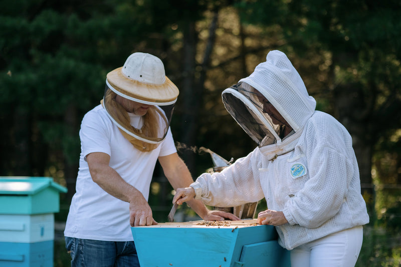 Vanilla Creamed Honey- Made in Ontario