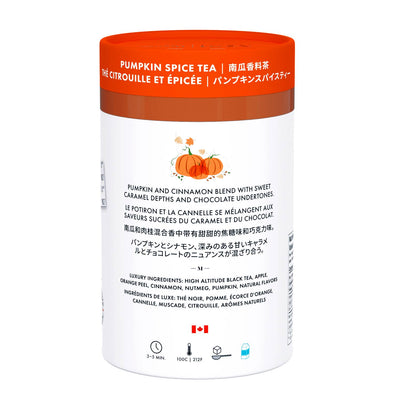 Pumpkin Spice Luxury Tea – 24 Pyramid Bags