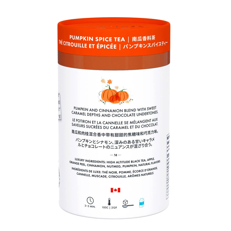 Pumpkin Spice Luxury Tea – 24 Pyramid Bags
