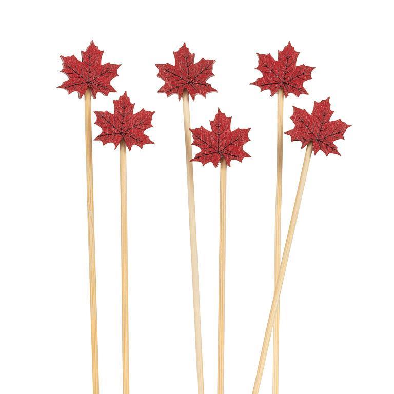 Maple Leaf Picks 🇨🇦