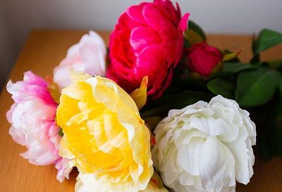 Double Bloom Peony Stem