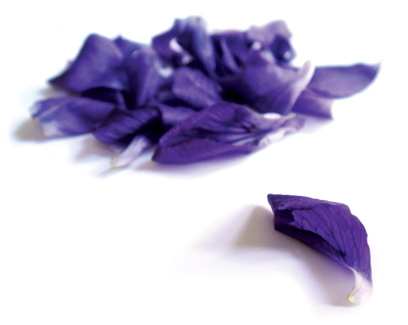 Violette - Victorian Candy