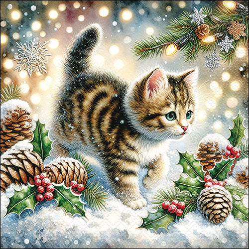 Cute Cat In The Snow-Luncheon Size