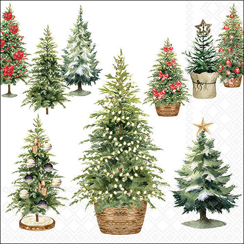 Tree Collection -Luncheon Size