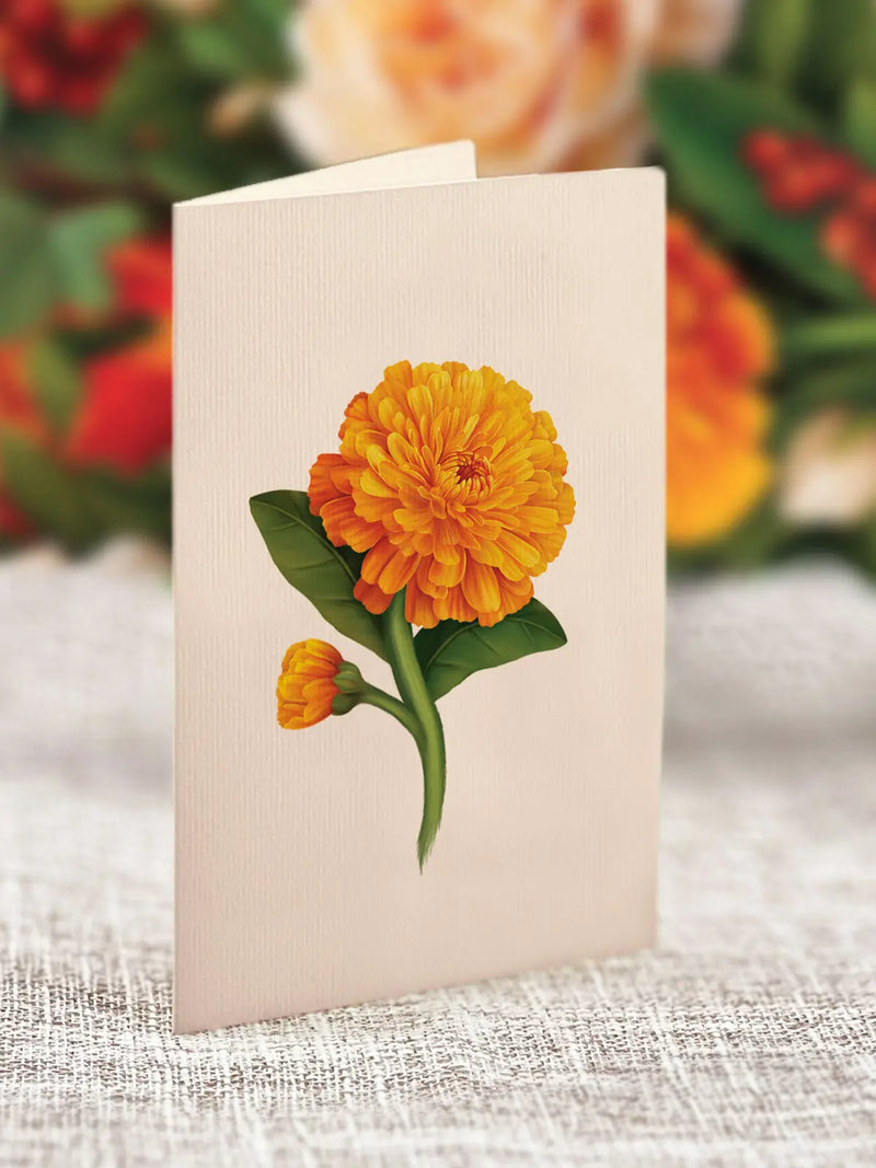 Pumpkin Spice Pop-up Greeting Card