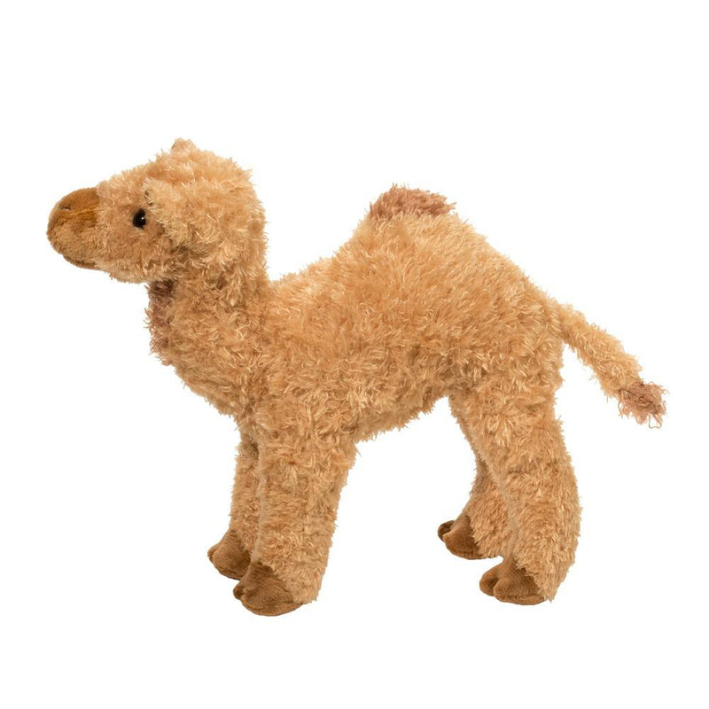 Lawrence Camel