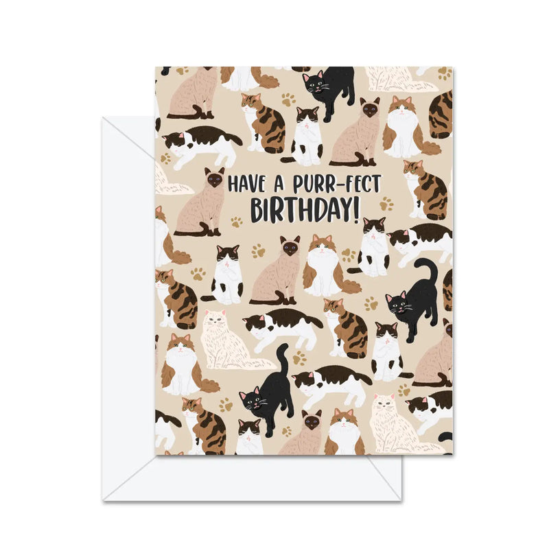 Have A Purr-Fect Birthday! - Greeting Card