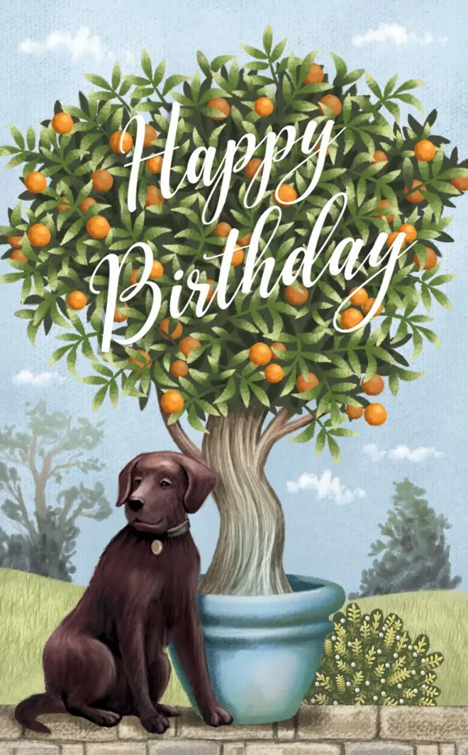 Dog in glasshouse 3D Pop Up Card