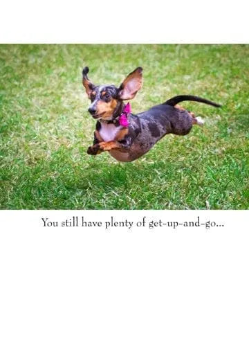 Daschund Running Card