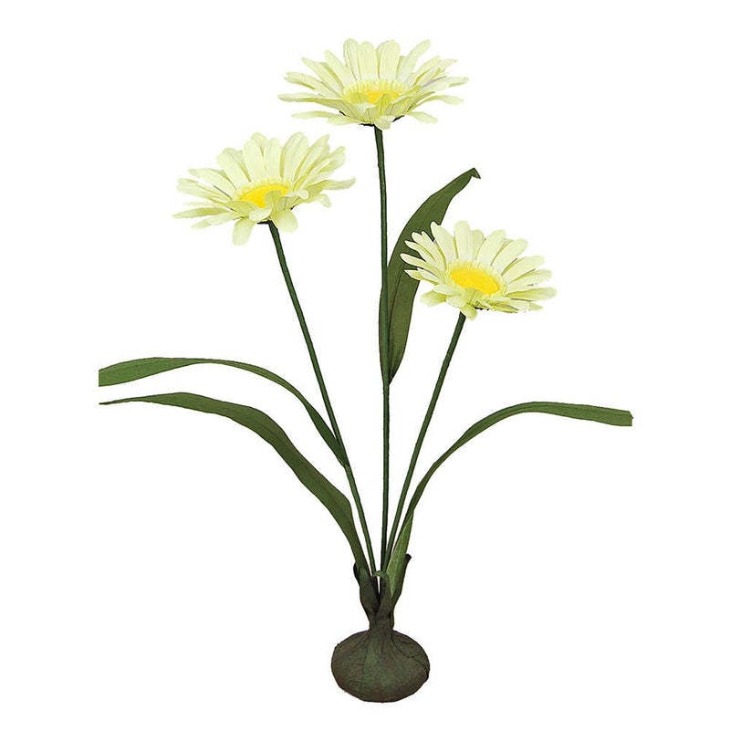 45" H Free Standing Artificial Faux Daisies: Apple Green - Lemon And Lavender Toronto