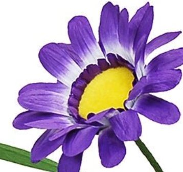 45" H Free Standing Artificial Faux Daisies: Dark Purple - Lemon And Lavender Toronto