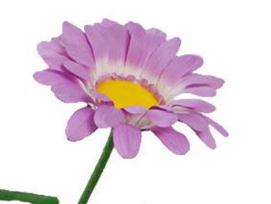 45" H Free Standing Artificial Faux Daisies: Lilac - Lemon And Lavender Toronto