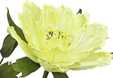 45" H Free Standing Artificial Faux Peonies: Light Apple Green - Lemon And Lavender Toronto