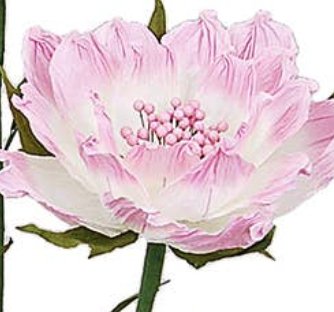 45" H Free Standing Artificial Faux Peonies: Pink - Lemon And Lavender Toronto