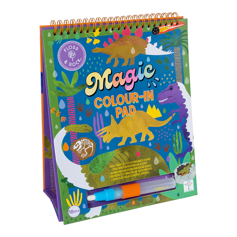 Dino Magic Colour Changing Watercard Easel and Pen-Floss & Rock