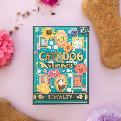 Cat and Dog-Friendly Wildflowers (Loyalty) - Seed Packet