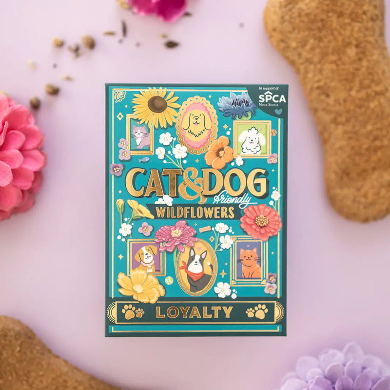 Cat and Dog-Friendly Wildflowers (Loyalty) - Seed Packet