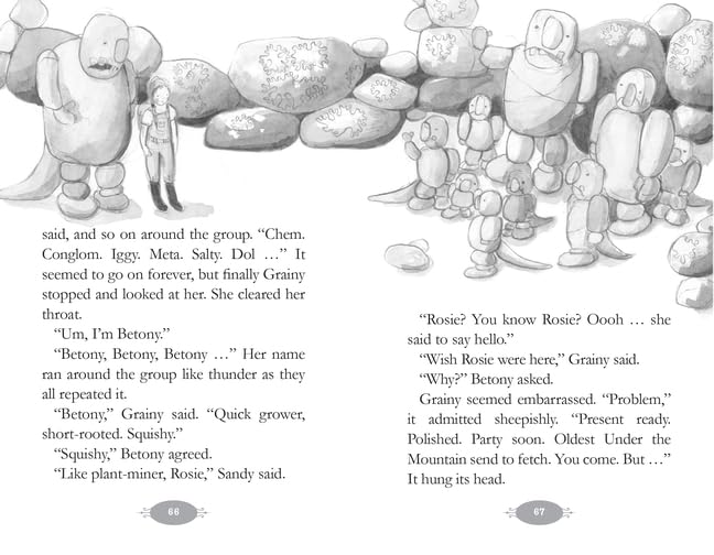 Princess Betony and the Thunder Egg