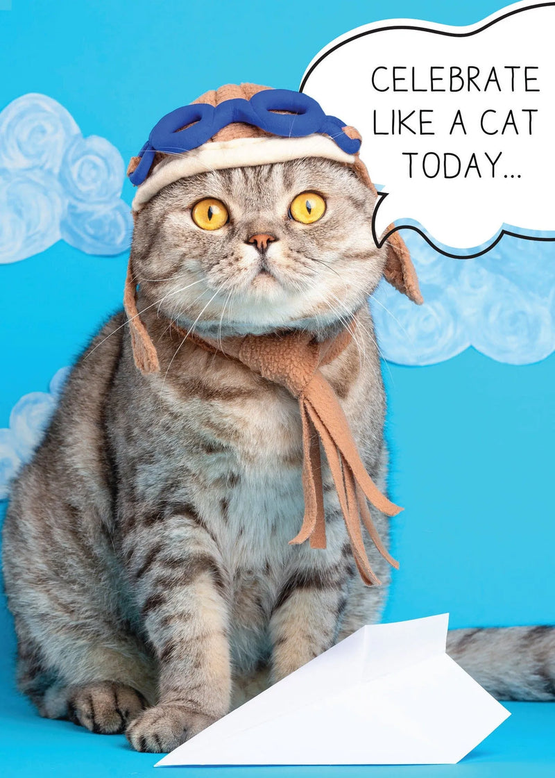 Celebrate Like A Cat Card
