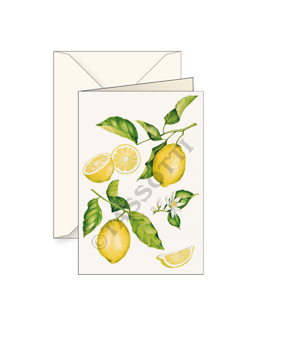 Lemon Blank All Occasion Card