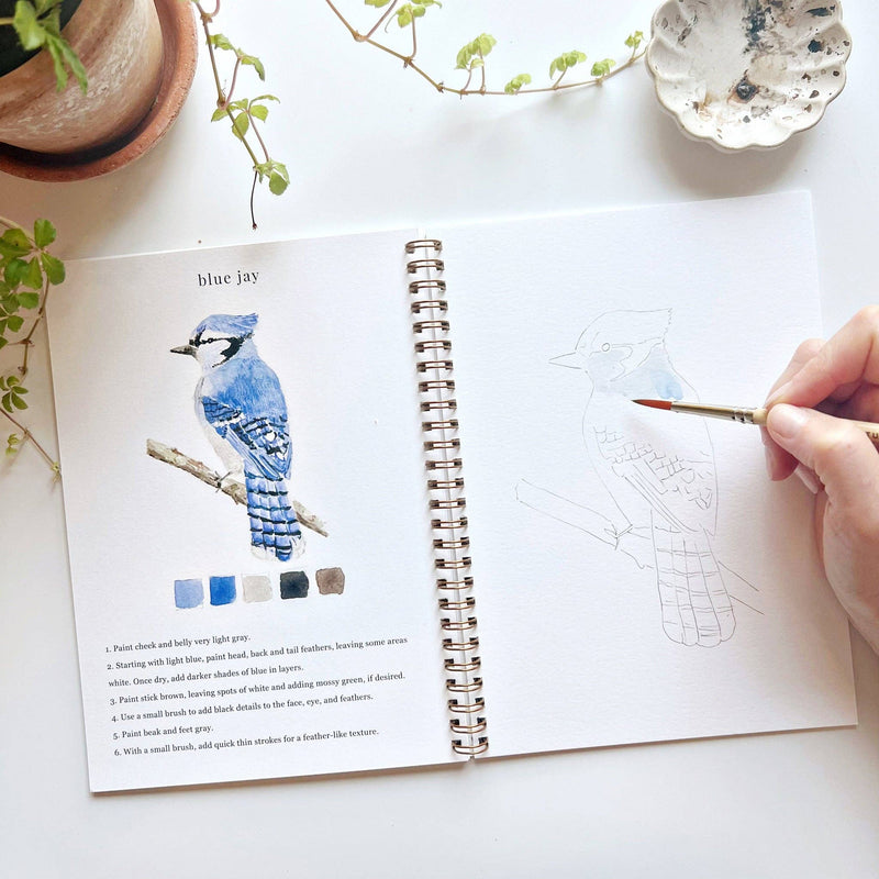 Birds Watercolour Workbook