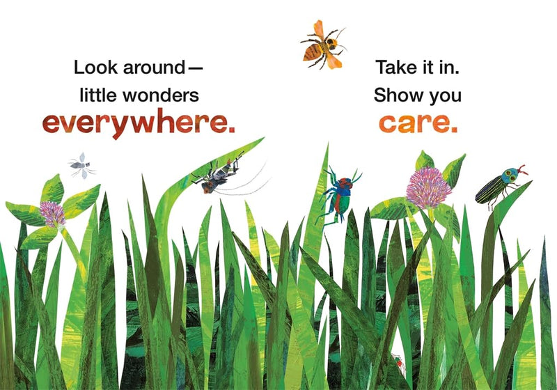 Little Book of Thanks from Brown Bear and Friends