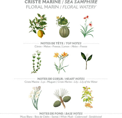 Shower gel - Firming Sea Samphire
