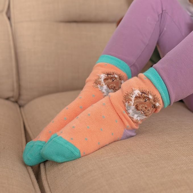 Grinny Pig Childrens Socks