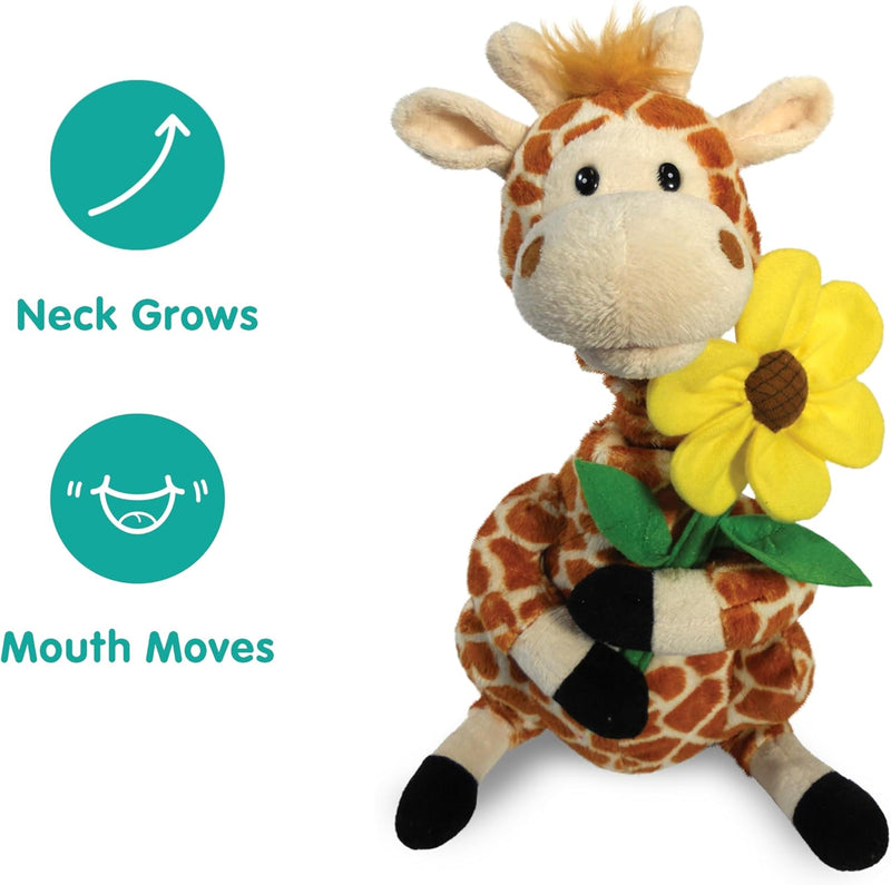 Gerry Giraffe🦒