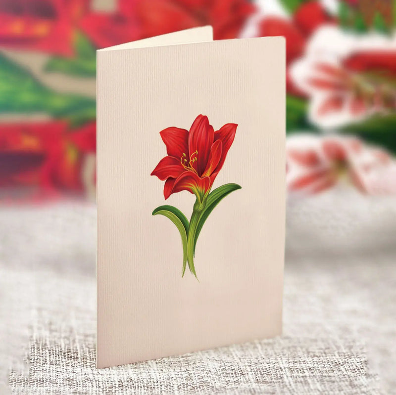 Mini Christmas Scarlet Amaryllis Pop-up Greeting Card